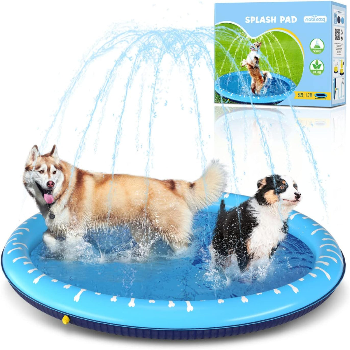 Piscina para perros grandes con chorros de agua