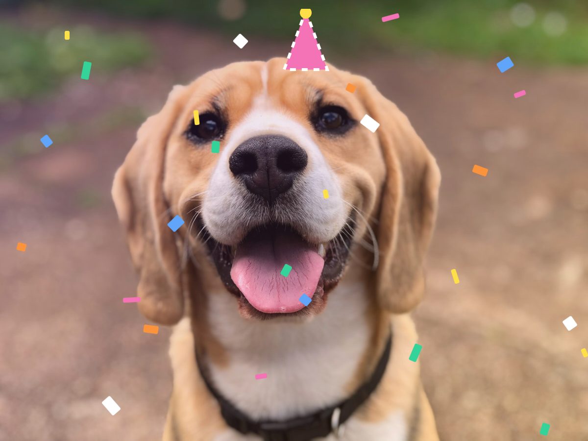 ¡Feliz cumpleaños!