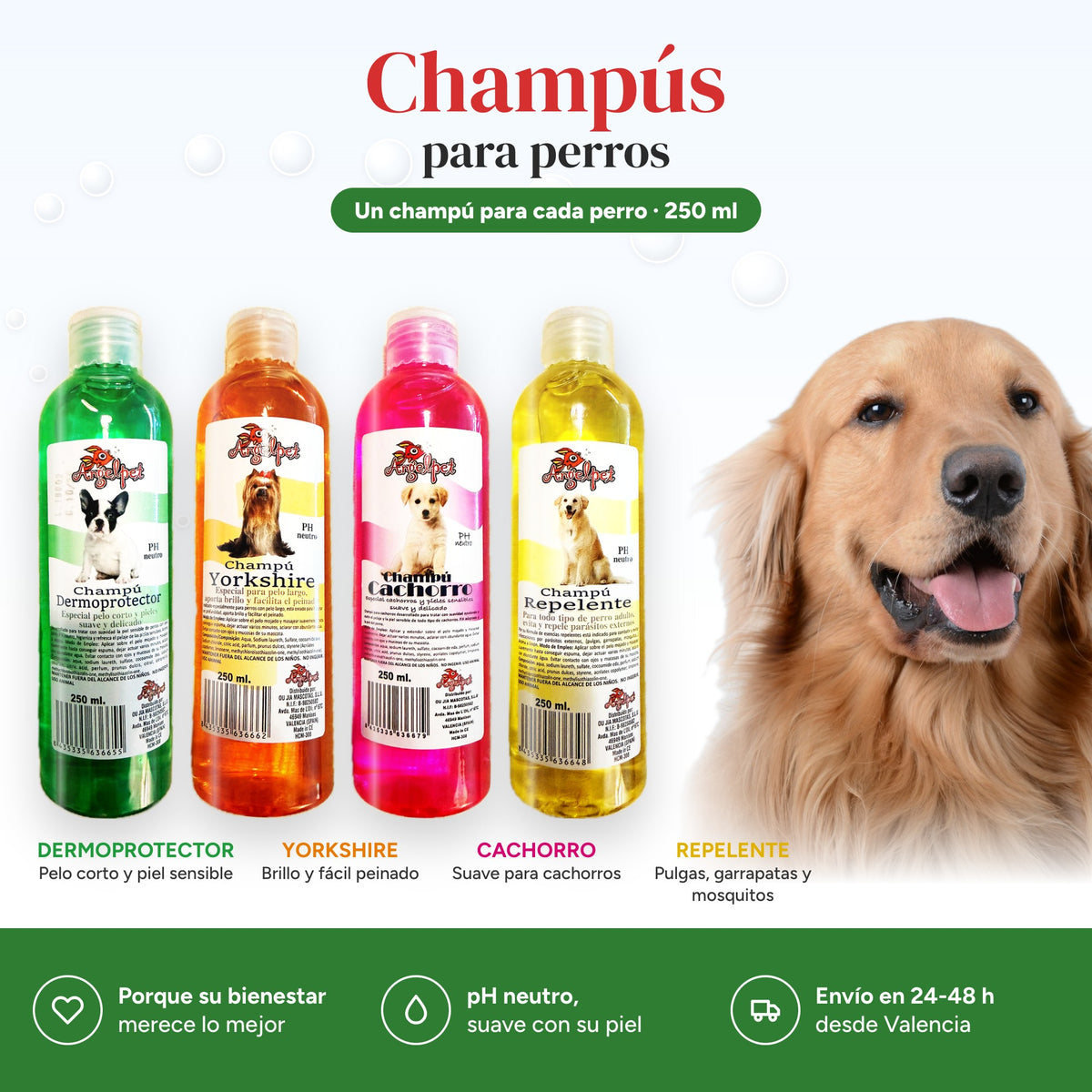 Un champú para cada perro