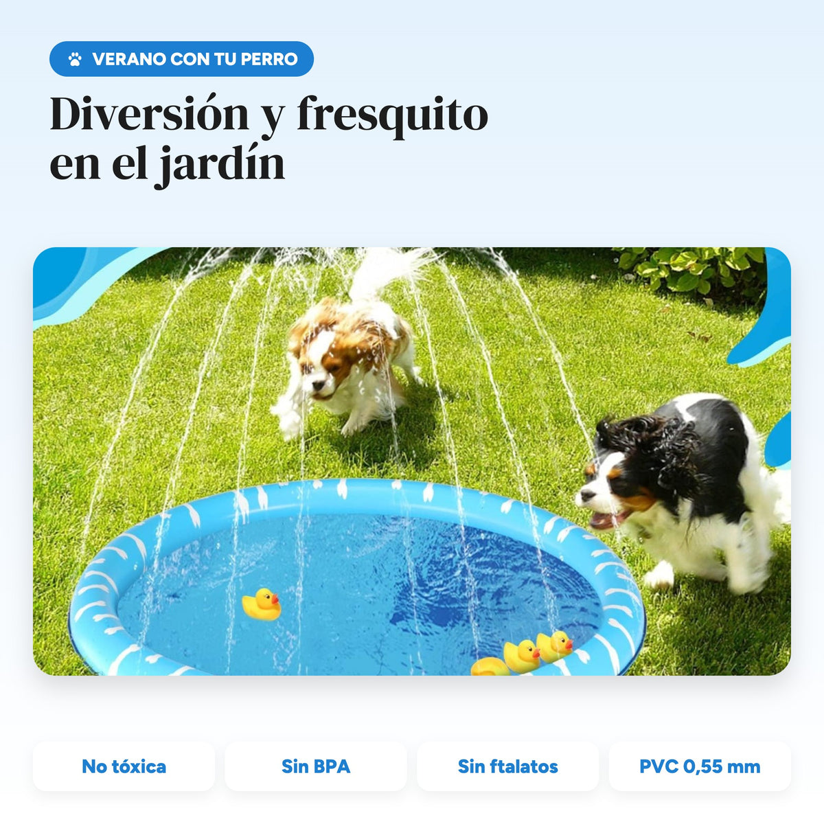 Perros jugando en la piscina con chorros en el jardín: no tóxica, sin BPA ni ftalatos