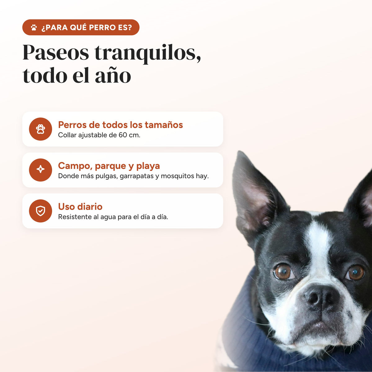 Para perros de todos los tamaños