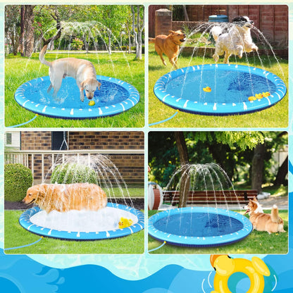 Perros refrescándose en la piscina