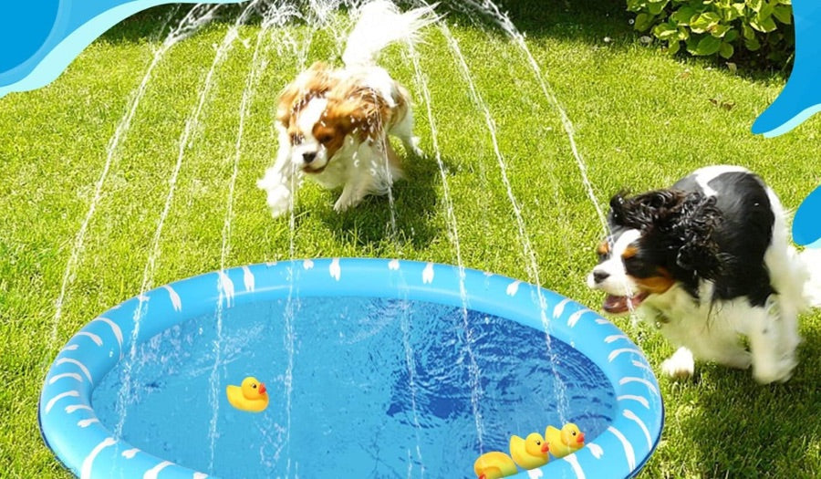 Piscinas para perros